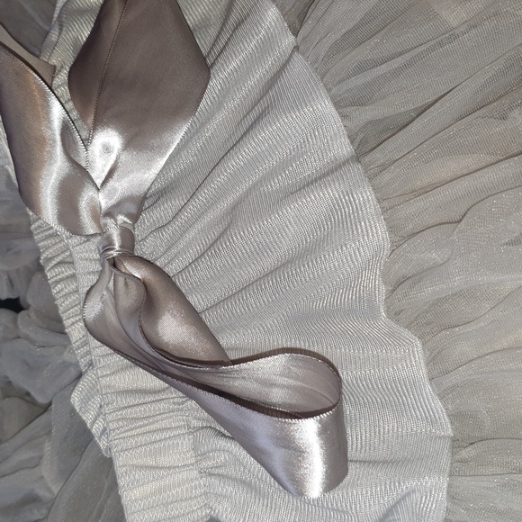 2-4 yr old silver Petticoat great volume, lined, elasticated waist, adjustable - Picture 7 of 14